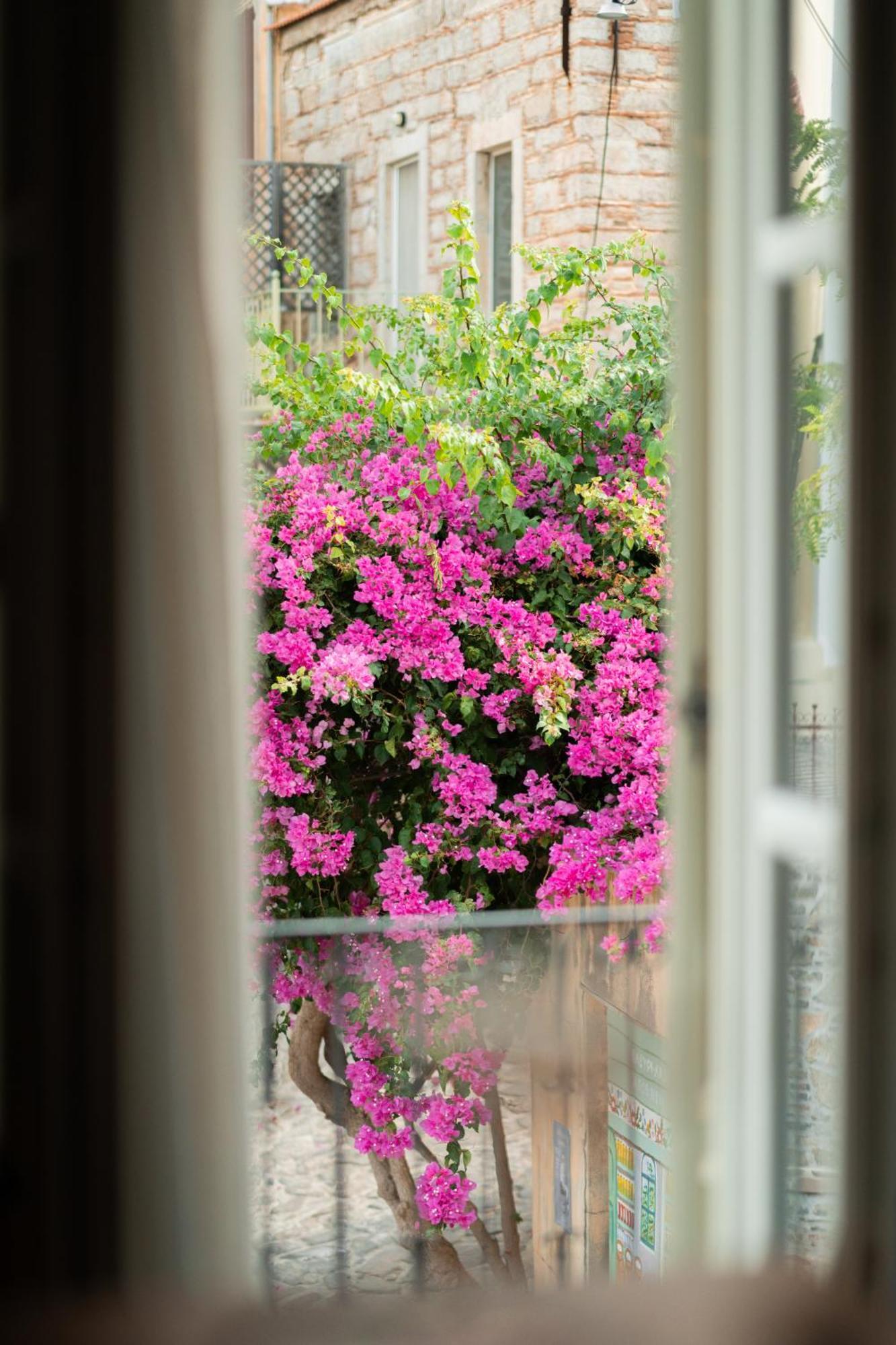 My Volissos Apartments Dış mekan fotoğraf